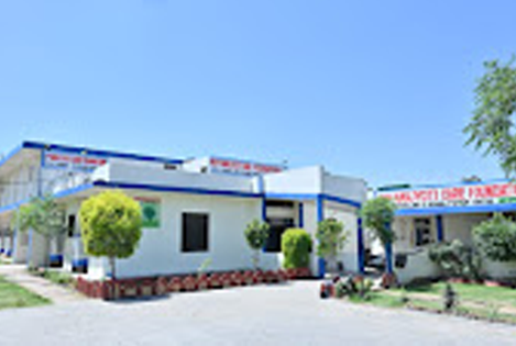 Best Rehabilitation centre in punjab